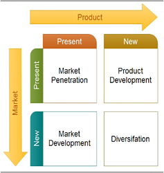 International Strategic Management Assignment.png